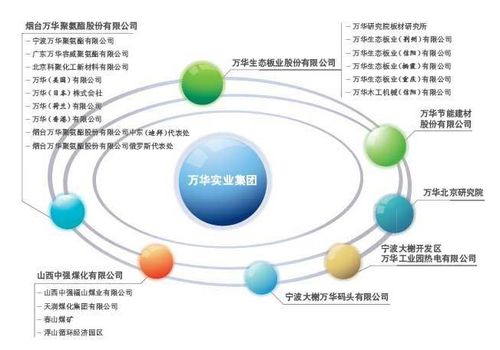 建筑装饰工程技术专业 装饰材料营销方向